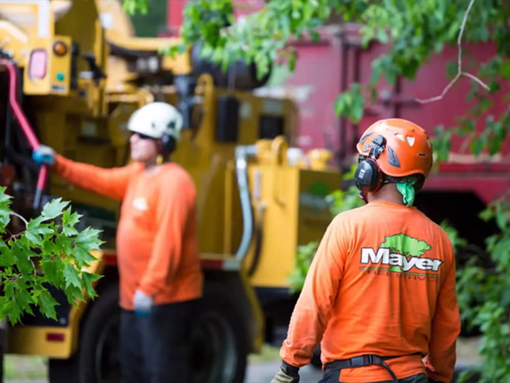 Tree service crew with chipper truck on job site